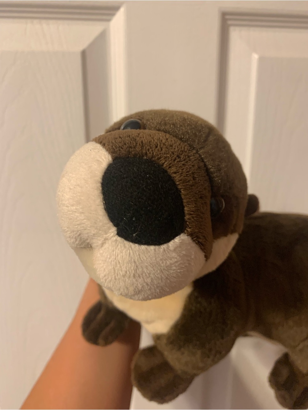Soft Stuffed Animal - Picture 3 of 3